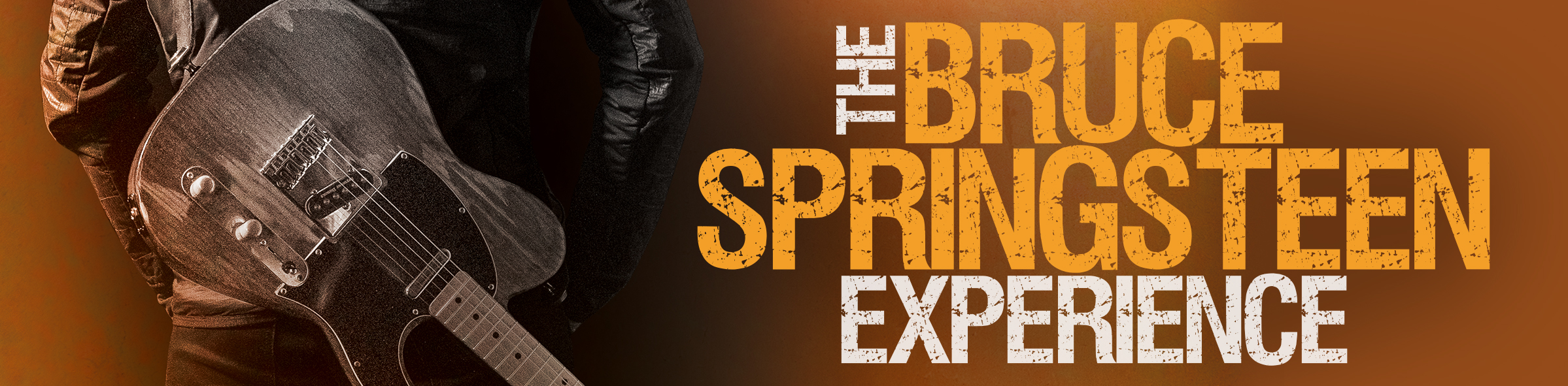 The Bruce Springsteen Experience